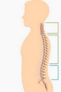 osteochondrosis of parts -different parts of the spine